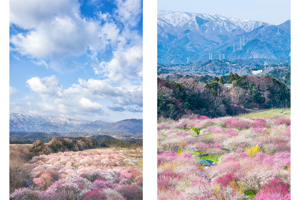 ニコンイメージングジャパントークショー 東京カメラ部10選 福田悟氏、別所隆弘氏「NIKKORレンズで表現した世界」