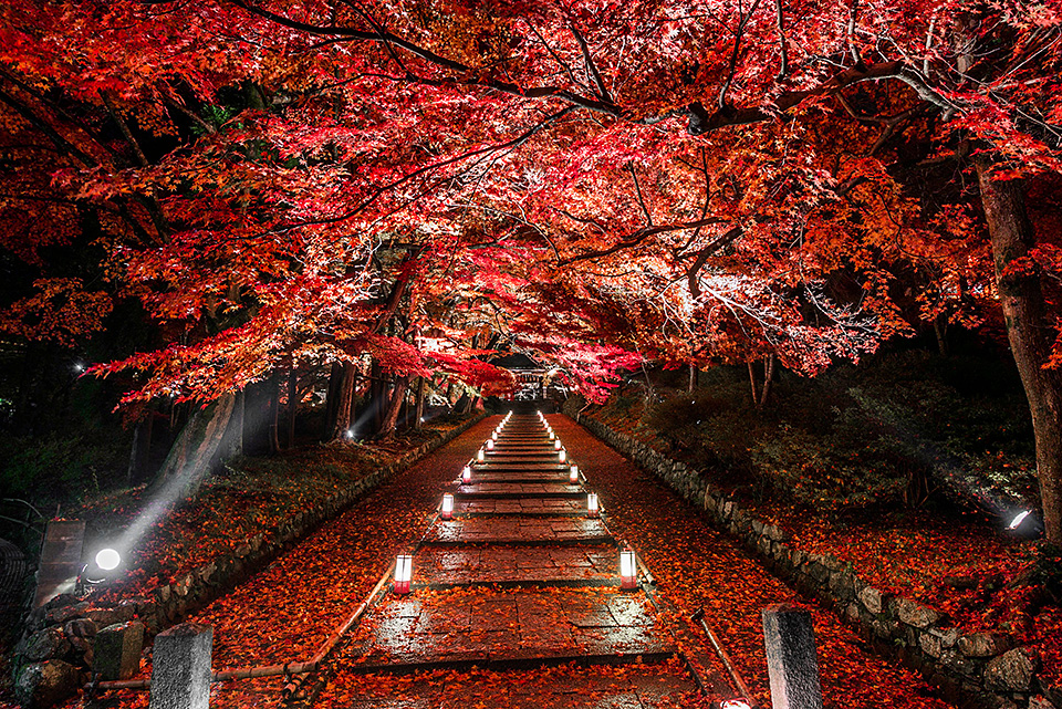 ニコンイメージングジャパントークショー 東京カメラ部10選 福田悟氏、別所隆弘氏「NIKKORレンズで表現した世界」