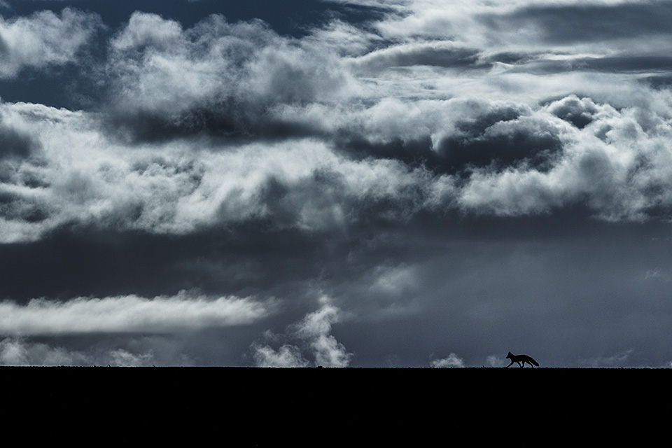 ソニーマーケティング　東京カメラ部10選 井上浩輝氏「αが捉えた北海道の自然」