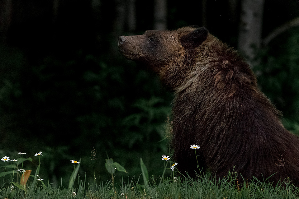 ソニーマーケティング　東京カメラ部10選 井上浩輝氏「αが捉えた北海道の自然」