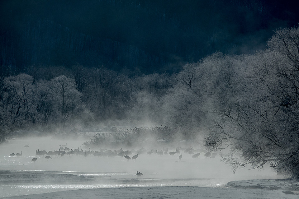 ソニーマーケティング　東京カメラ部10選 井上浩輝氏「αが捉えた北海道の自然」