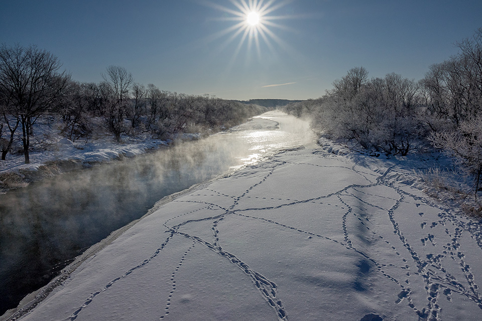 ソニーマーケティング　東京カメラ部10選 井上浩輝氏「αが捉えた北海道の自然」