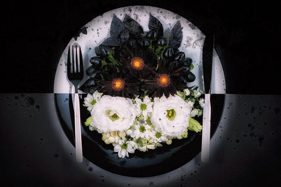 東京カメラ部10選 長岩典子氏 × コンテスト入賞者 荒畑恵子氏、中田久美子氏 × 東京カメラ部運営「カメラが広げる私の世界」