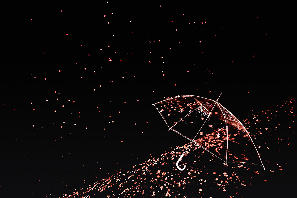 東京カメラ部10選 長岩典子氏 × コンテスト入賞者 荒畑恵子氏、中田久美子氏 × 東京カメラ部運営「カメラが広げる私の世界」