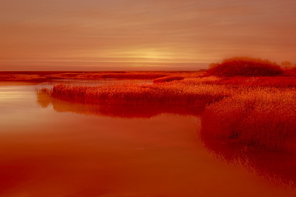 東京カメラ部10選 長岩典子氏 × コンテスト入賞者 荒畑恵子氏、中田久美子氏 × 東京カメラ部運営「カメラが広げる私の世界」