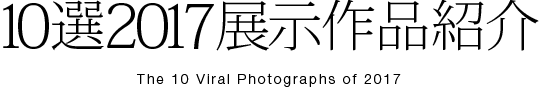 10選 展示作品紹介
