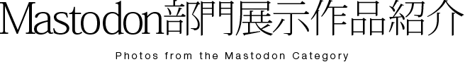 Mastodon展示作品紹介