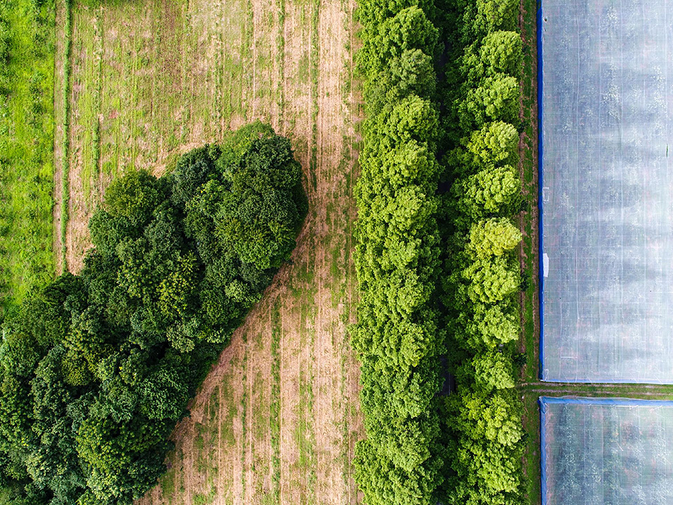 東京カメラ部10選 別所隆弘氏「翼を得たカメラ：ドローンが見せる新しい写真の世界」