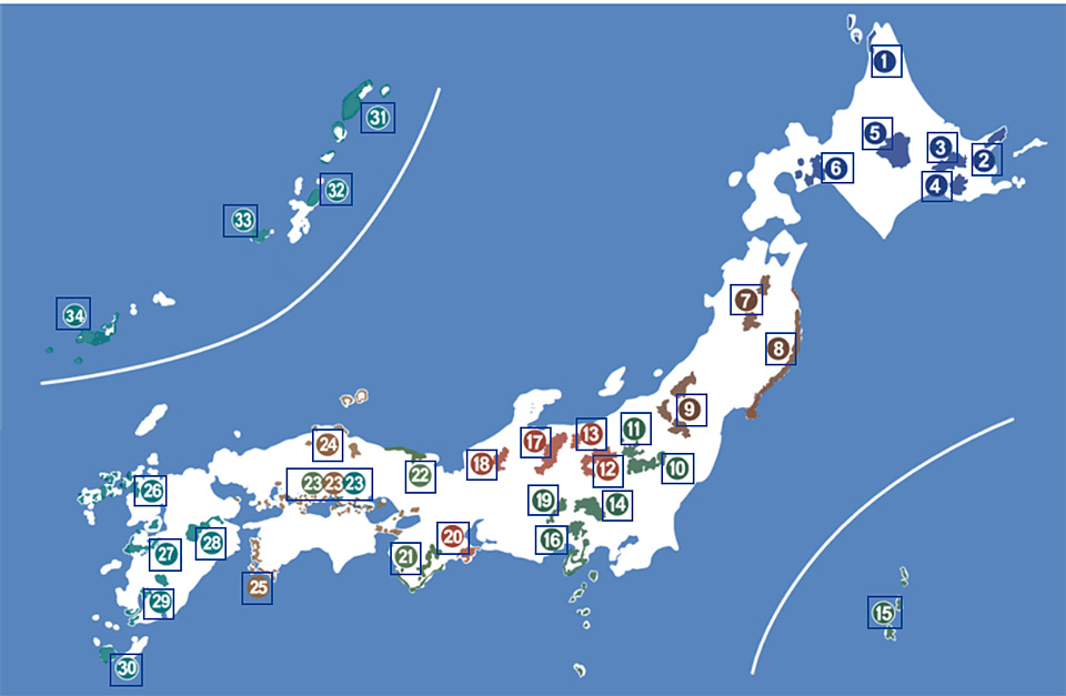 環境省国立公園課国立公園利用推進室 谷垣佐智子氏 × 東京カメラ部10選 柄木孝志氏、松岡こみゅ氏 × 東京カメラ部運営「日本の自然を『守り、伝える』」