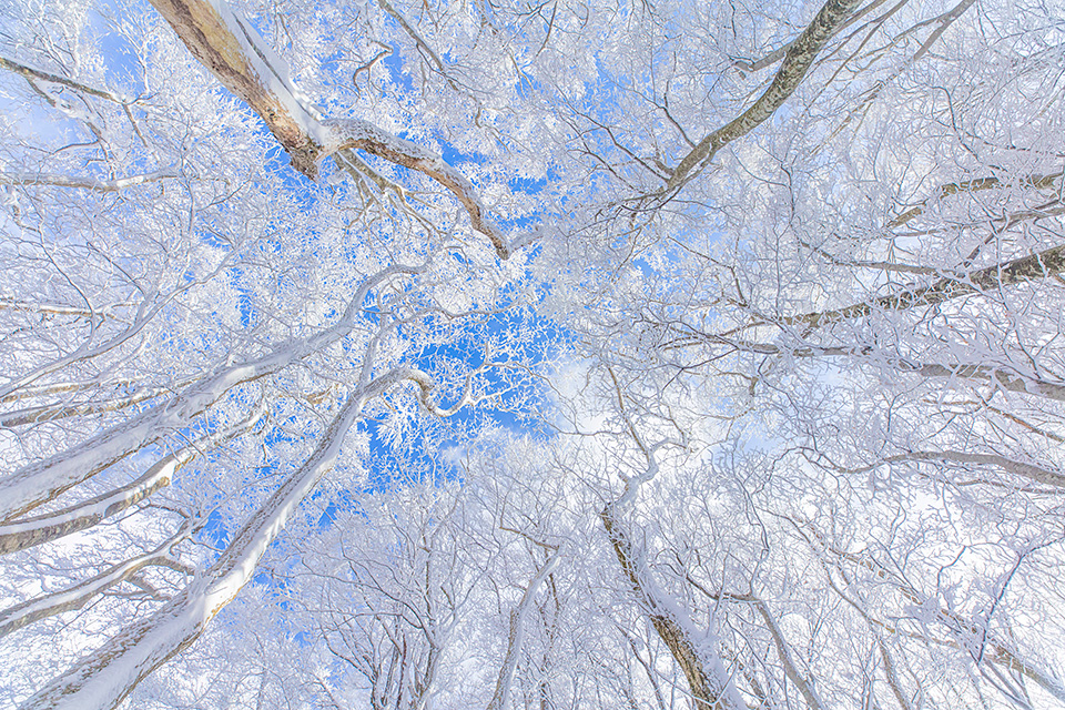 環境省国立公園課国立公園利用推進室 谷垣佐智子氏 × 東京カメラ部10選 柄木孝志氏、松岡こみゅ氏 × 東京カメラ部運営「日本の自然を『守り、伝える』」
