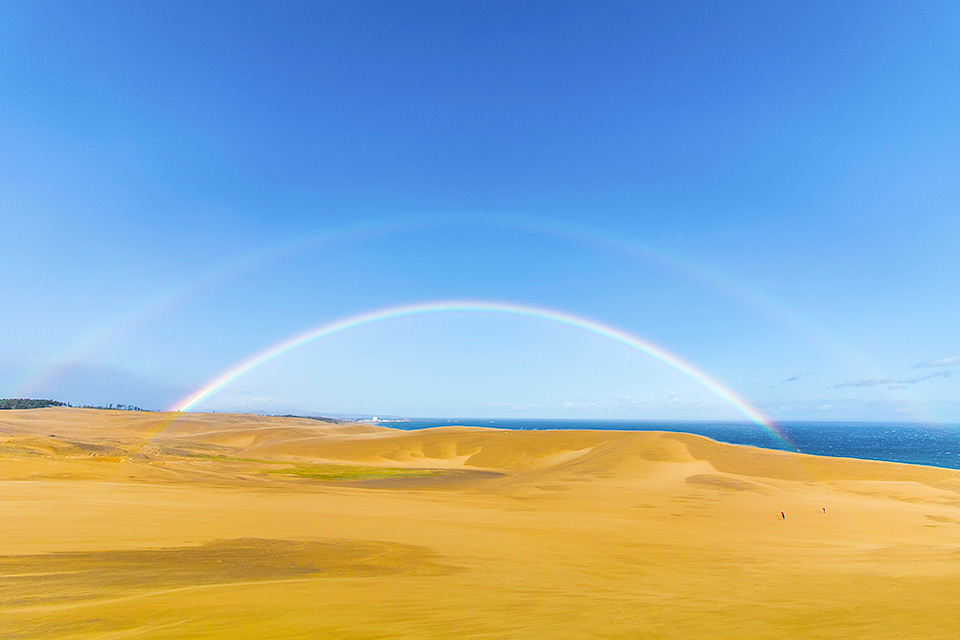 環境省国立公園課国立公園利用推進室 谷垣佐智子氏 × 東京カメラ部10選 柄木孝志氏、松岡こみゅ氏 × 東京カメラ部運営「日本の自然を『守り、伝える』」