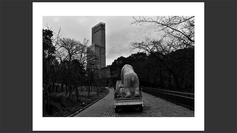 東京カメラ部特別企画 写真家 立木義浩氏 × アートディレクター 町口景氏「モノクローム」