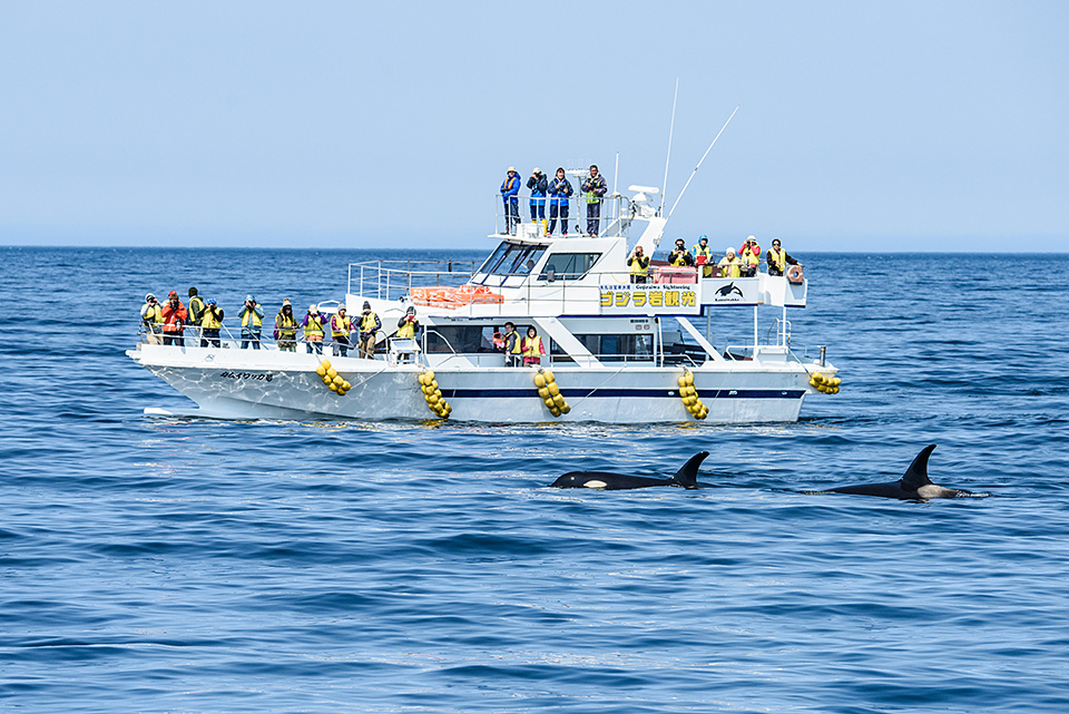 東京カメラ部10選 半田菜摘氏、別所隆弘氏「NIKKORレンズから覗く世界の光」