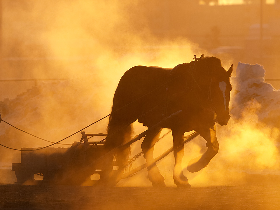 カメラマン 山岸伸氏 × 写真家 佐藤倫子氏 × 東京カメラ部10選 小林修士氏、小林海太郎氏、Mastodon部門 清田大介氏 × 東京カメラ部運営　オリンパス特別協賛ステージ「写真表現の可能性」