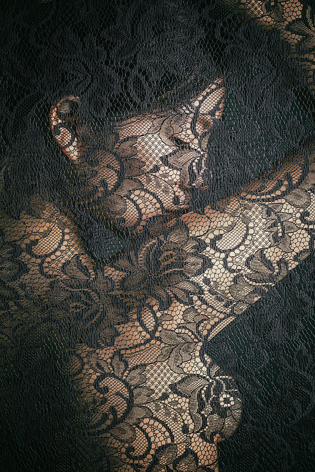 カメラマン 山岸伸氏 × 写真家 佐藤倫子氏 × 東京カメラ部10選 小林修士氏、小林海太郎氏、Mastodon部門 清田大介氏 × 東京カメラ部運営　オリンパス特別協賛ステージ「写真表現の可能性」