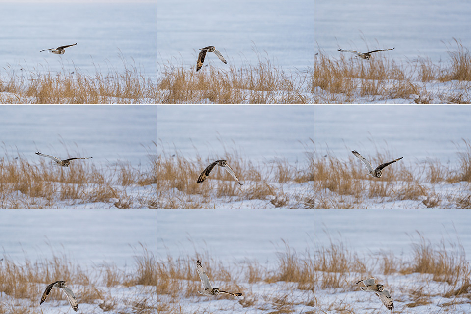 東京カメラ部10選 井上浩輝氏 × 東芝メモリ「頼れる相棒 “EXCERIA PRO”」