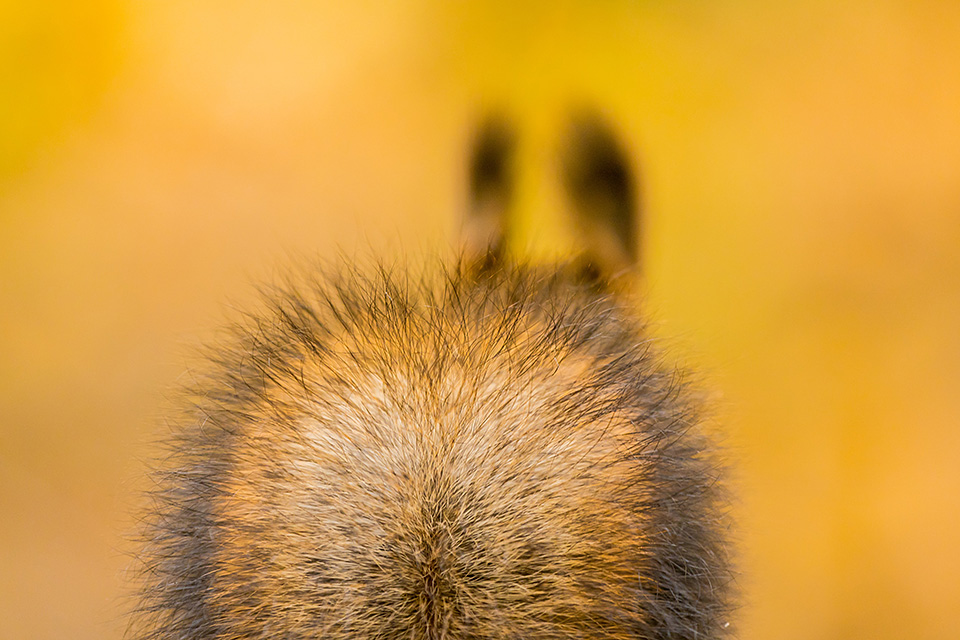 東京カメラ部10選 井上浩輝氏 × 東芝メモリ「頼れる相棒 “EXCERIA PRO”」
