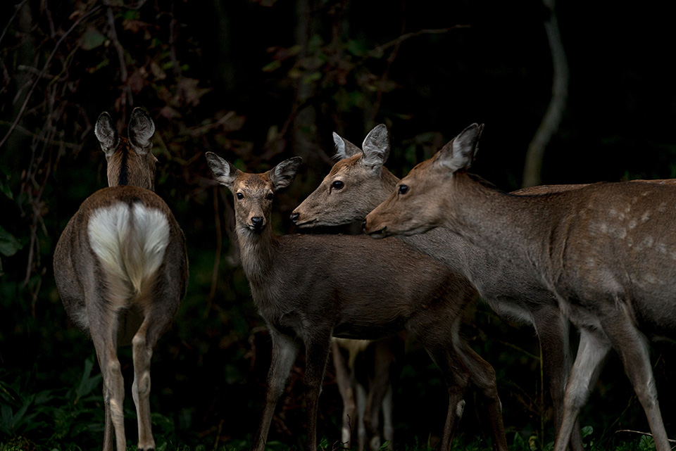 東京カメラ部10選 井上浩輝氏 × 東芝メモリ「頼れる相棒 “EXCERIA PRO”」
