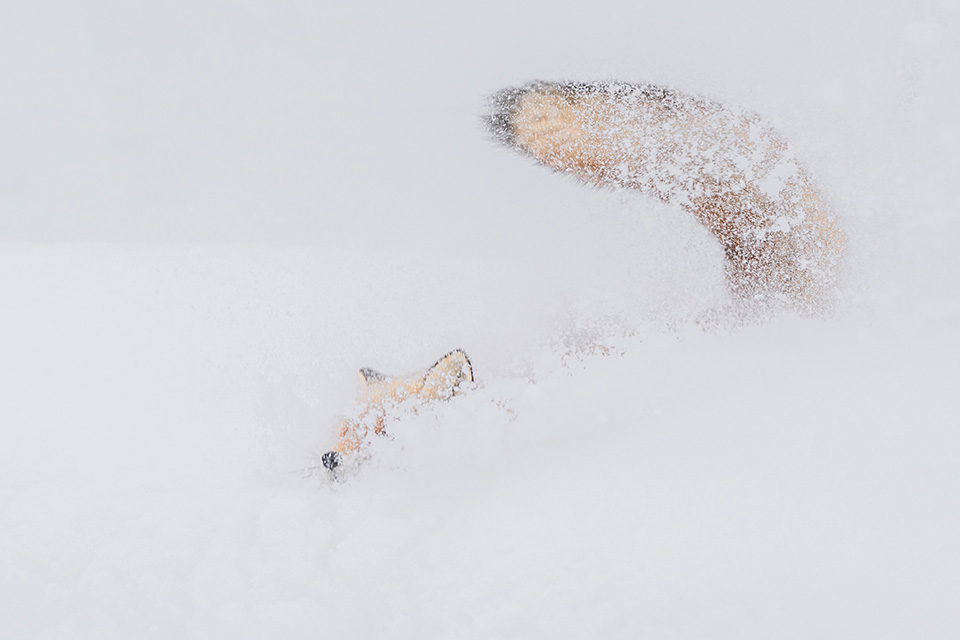 東京カメラ部10選 井上浩輝氏 × 東芝メモリ「頼れる相棒 “EXCERIA PRO”」