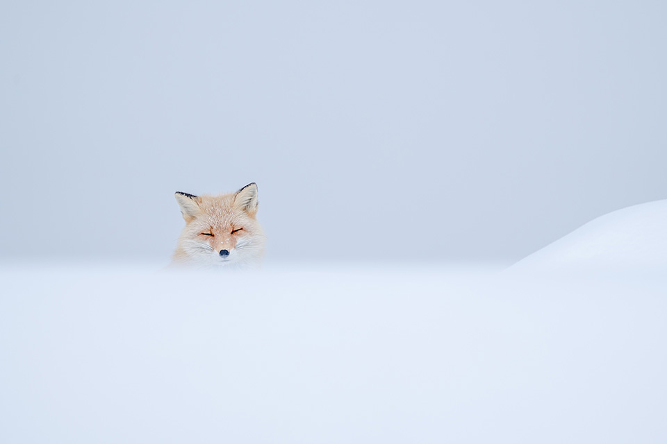 東京カメラ部10選 井上浩輝氏 × 東芝メモリ「頼れる相棒 “EXCERIA PRO”」