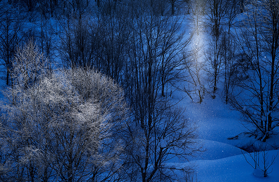 東京カメラ部10選 井上浩輝氏 × 東芝メモリ「頼れる相棒 “EXCERIA PRO”」