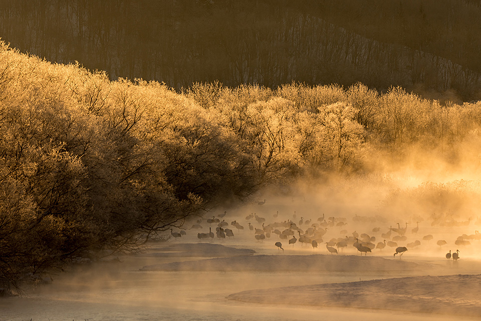 東京カメラ部10選 井上浩輝氏 × 東芝メモリ「頼れる相棒 “EXCERIA PRO”」