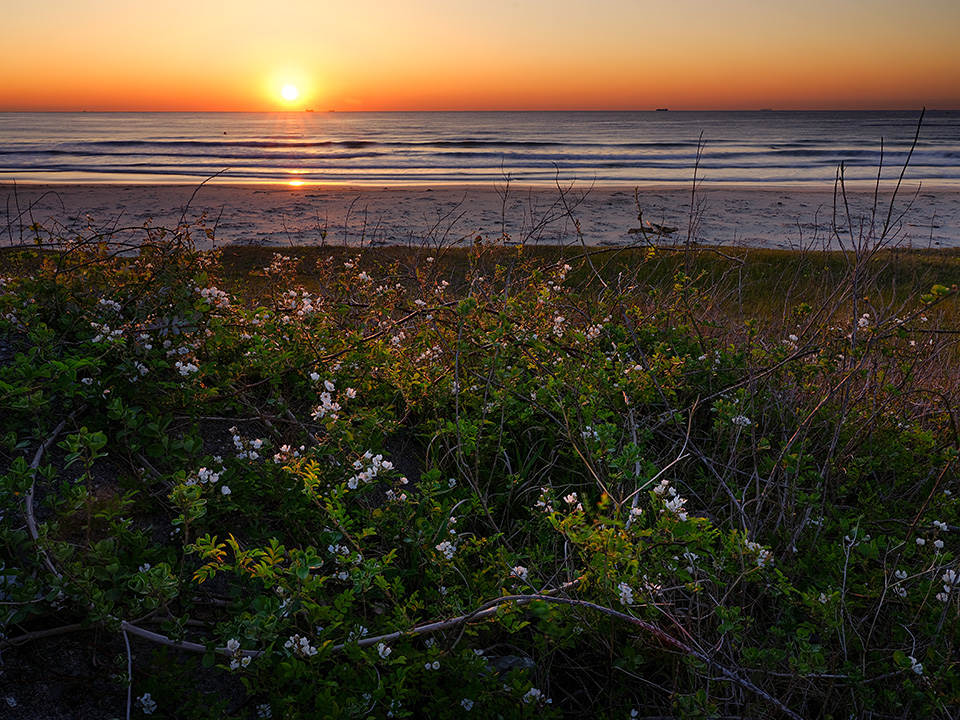 環境省：環境省国立公園課国立公園利用推進室 宮森由美子、東京カメラ部10選 北川力三、本間昭文、東京カメラ部コンテスト入賞者 清水啓、東京カメラ部運営「ともに守り、伝えていく　国立公園の魅力」｜東京カメラ部2019写真展