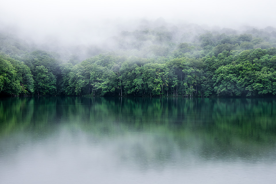 環境省：環境省国立公園課国立公園利用推進室 宮森由美子、東京カメラ部10選 北川力三、本間昭文、東京カメラ部コンテスト入賞者 清水啓、東京カメラ部運営「ともに守り、伝えていく　国立公園の魅力」｜東京カメラ部2019写真展