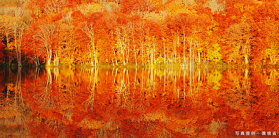 環境省：環境省国立公園課国立公園利用推進室 宮森由美子、東京カメラ部10選 北川力三、本間昭文、東京カメラ部コンテスト入賞者 清水啓、東京カメラ部運営「ともに守り、伝えていく　国立公園の魅力」｜東京カメラ部2019写真展