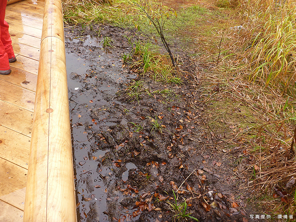 環境省：環境省国立公園課国立公園利用推進室 宮森由美子、東京カメラ部10選 北川力三、本間昭文、東京カメラ部コンテスト入賞者 清水啓、東京カメラ部運営「ともに守り、伝えていく　国立公園の魅力」｜東京カメラ部2019写真展