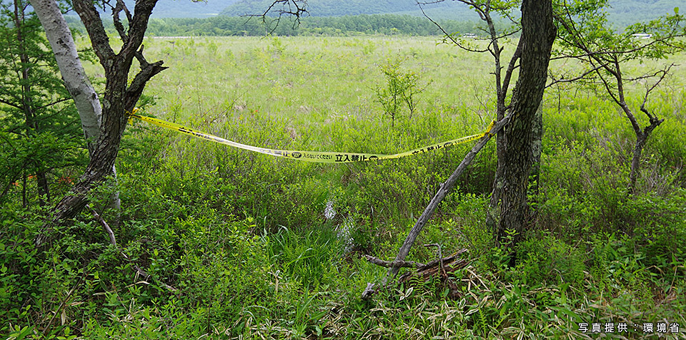 環境省：環境省国立公園課国立公園利用推進室 宮森由美子、東京カメラ部10選 北川力三、本間昭文、東京カメラ部コンテスト入賞者 清水啓、東京カメラ部運営「ともに守り、伝えていく　国立公園の魅力」｜東京カメラ部2019写真展