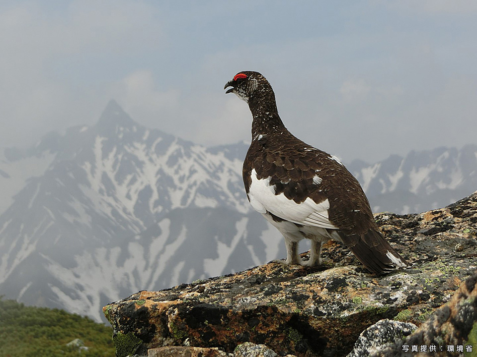 環境省：環境省国立公園課国立公園利用推進室 宮森由美子、東京カメラ部10選 北川力三、本間昭文、東京カメラ部コンテスト入賞者 清水啓、東京カメラ部運営「ともに守り、伝えていく　国立公園の魅力」｜東京カメラ部2019写真展