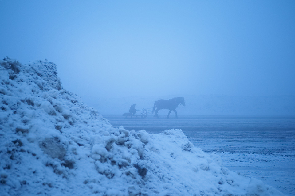 北海道 帯広市(ばんえい十勝)：カメラマン 山岸伸、帯広市副市長 田中敬二、東京カメラ部運営「ばんえい競馬」｜東京カメラ部2019写真展