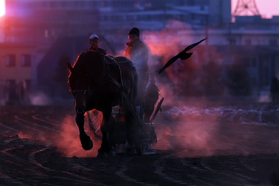 北海道 帯広市(ばんえい十勝)：カメラマン 山岸伸、帯広市副市長 田中敬二、東京カメラ部運営「ばんえい競馬」｜東京カメラ部2019写真展