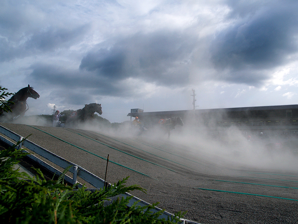 北海道 帯広市(ばんえい十勝)：カメラマン 山岸伸、帯広市副市長 田中敬二、東京カメラ部運営「ばんえい競馬」｜東京カメラ部2019写真展