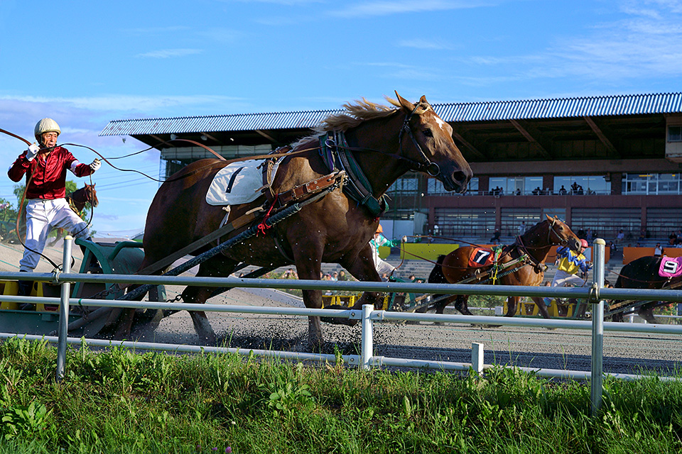 北海道 帯広市(ばんえい十勝)：カメラマン 山岸伸、帯広市副市長 田中敬二、東京カメラ部運営「ばんえい競馬」｜東京カメラ部2019写真展