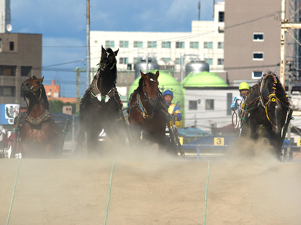 北海道 帯広市(ばんえい十勝)：カメラマン 山岸伸、帯広市副市長 田中敬二、東京カメラ部運営「ばんえい競馬」｜東京カメラ部2019写真展