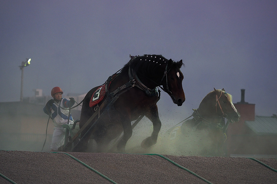 北海道 帯広市(ばんえい十勝)：カメラマン 山岸伸、帯広市副市長 田中敬二、東京カメラ部運営「ばんえい競馬」｜東京カメラ部2019写真展