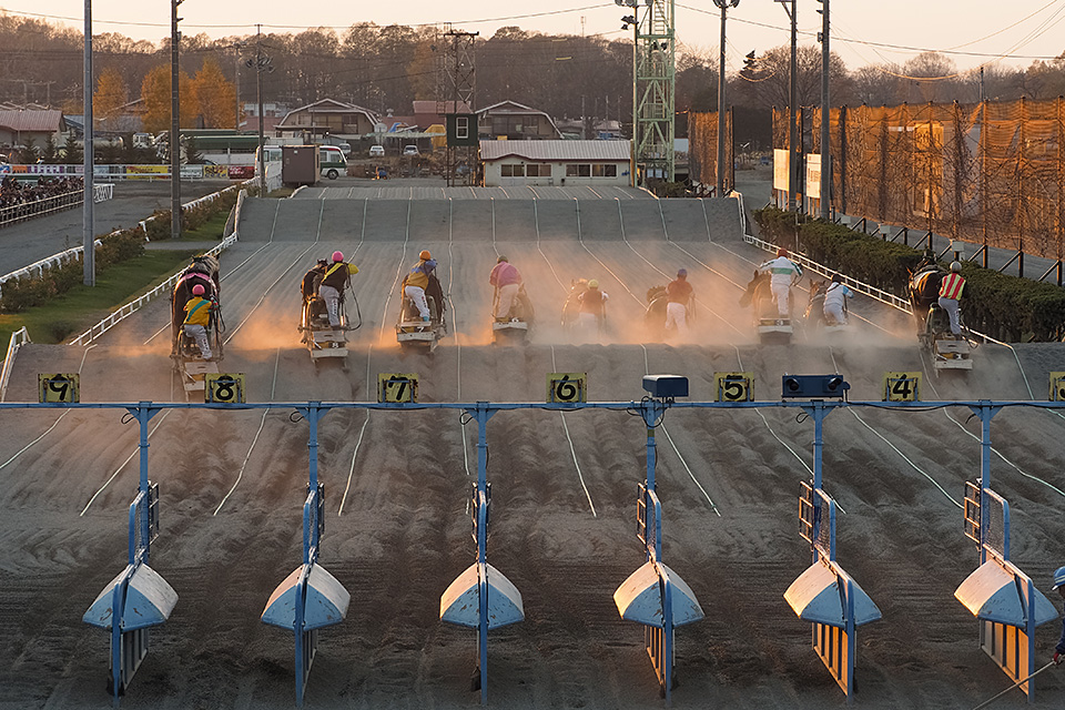 北海道 帯広市(ばんえい十勝)：カメラマン 山岸伸、帯広市副市長 田中敬二、東京カメラ部運営「ばんえい競馬」｜東京カメラ部2019写真展