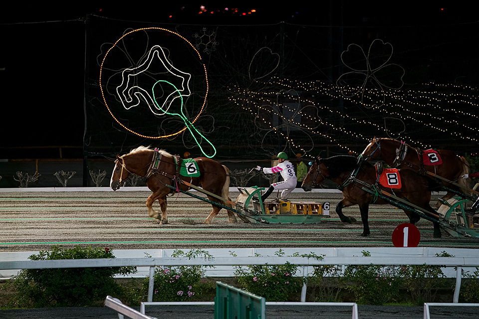 北海道 帯広市(ばんえい十勝)：カメラマン 山岸伸、帯広市副市長 田中敬二、東京カメラ部運営「ばんえい競馬」｜東京カメラ部2019写真展