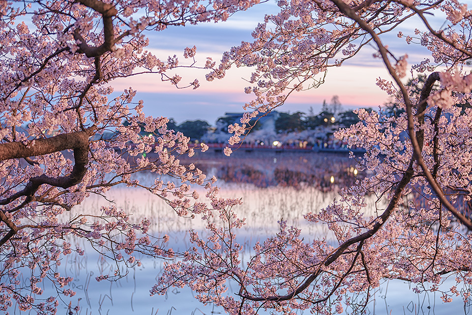 ニコンイメージングジャパン：東京カメラ部10選 半田菜摘氏、石田卓士氏「フルサイズミラーレスでとらえる、風景と生命」｜東京カメラ部2019写真展