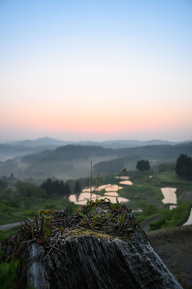 ニコンイメージングジャパン：東京カメラ部10選 半田菜摘氏、石田卓士氏「フルサイズミラーレスでとらえる、風景と生命」｜東京カメラ部2019写真展