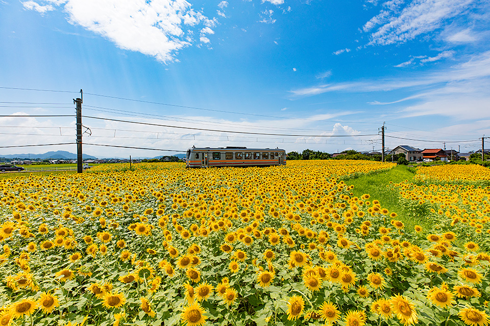 東京カメラ部特別企画：東京カメラ部10選 柄木孝志氏、別所隆弘氏、浅岡省一氏「“なんやかんや”活躍している10選の物語　～最近の写真家事情～」