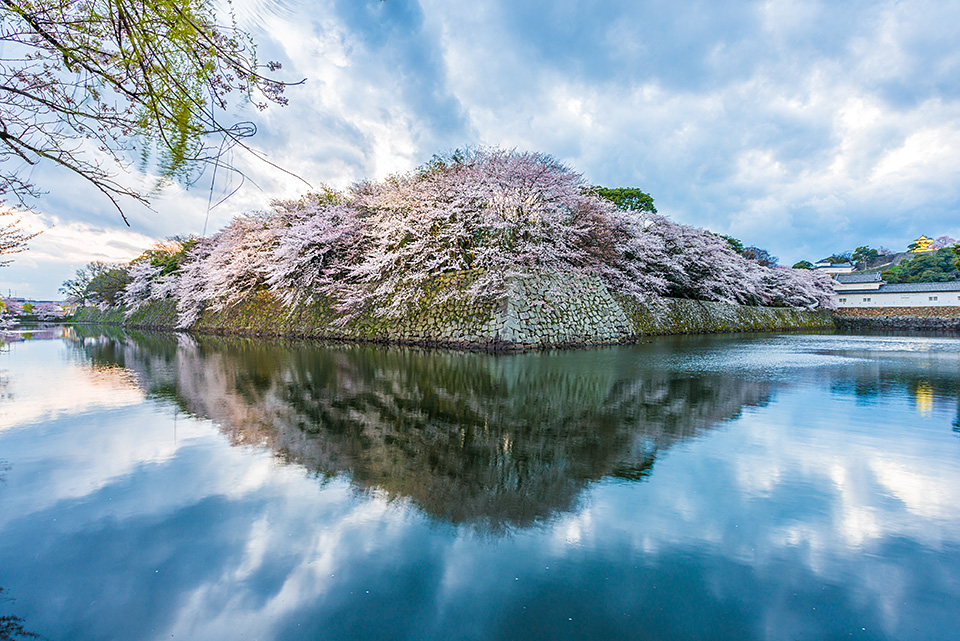 東京カメラ部特別企画：東京カメラ部10選 柄木孝志氏、別所隆弘氏、浅岡省一氏「“なんやかんや”活躍している10選の物語　～最近の写真家事情～」