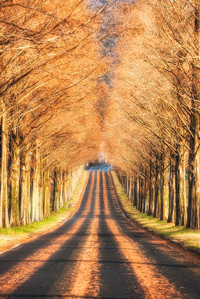東京カメラ部特別企画：東京カメラ部10選 柄木孝志氏、別所隆弘氏、浅岡省一氏「“なんやかんや”活躍している10選の物語　～最近の写真家事情～」