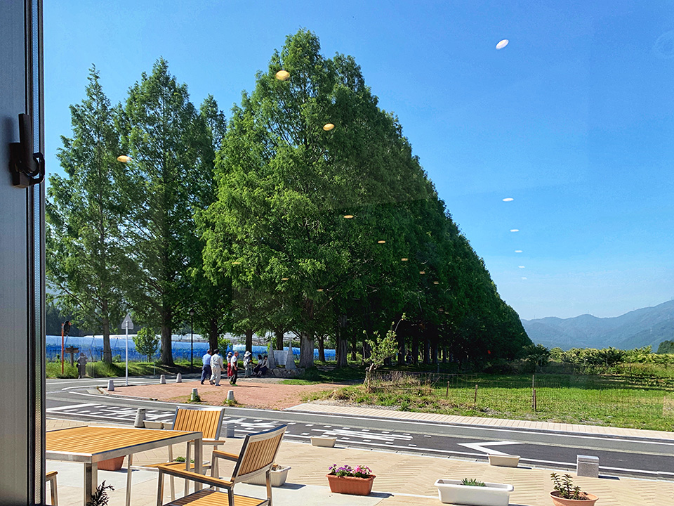 滋賀県 長浜市／高島市：滋賀県長浜市長 藤井勇治氏、滋賀県高島市長 福井正明氏、東京カメラ部10選 別所隆弘氏、東京カメラ部運営「写真で残していく『文化』、写真でつくっていく『まち』」｜東京カメラ部2019写真展