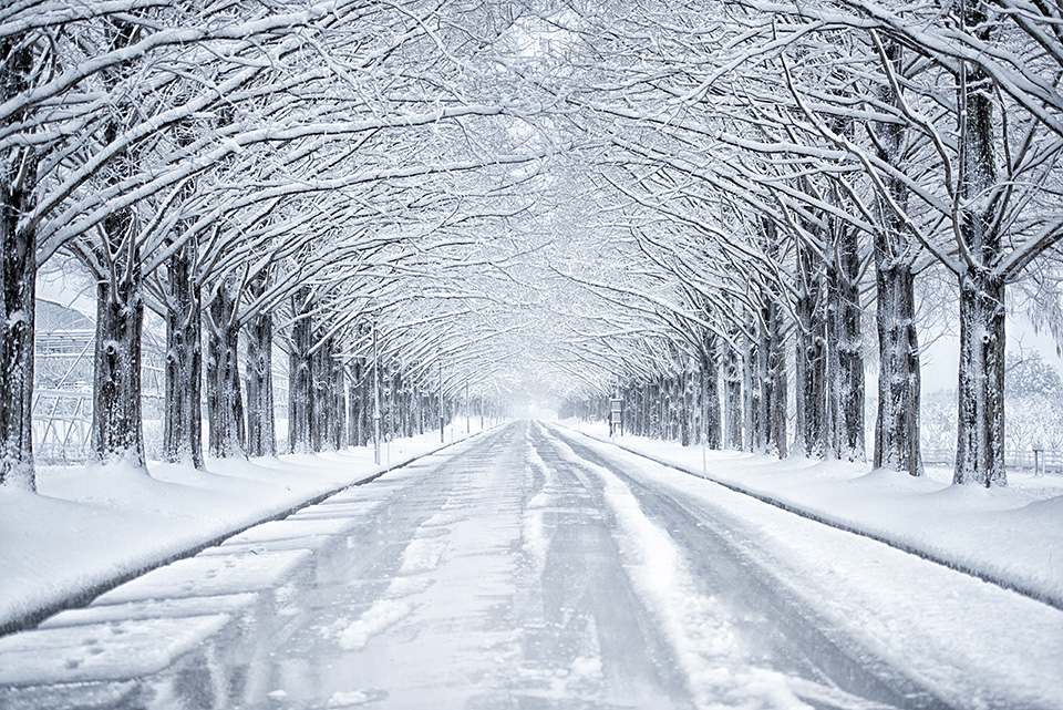 滋賀県 長浜市／高島市：滋賀県長浜市長 藤井勇治氏、滋賀県高島市長 福井正明氏、東京カメラ部10選 別所隆弘氏、東京カメラ部運営「写真で残していく『文化』、写真でつくっていく『まち』」｜東京カメラ部2019写真展