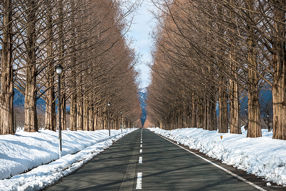 滋賀県 長浜市／高島市：滋賀県長浜市長 藤井勇治氏、滋賀県高島市長 福井正明氏、東京カメラ部10選 別所隆弘氏、東京カメラ部運営「写真で残していく『文化』、写真でつくっていく『まち』」｜東京カメラ部2019写真展