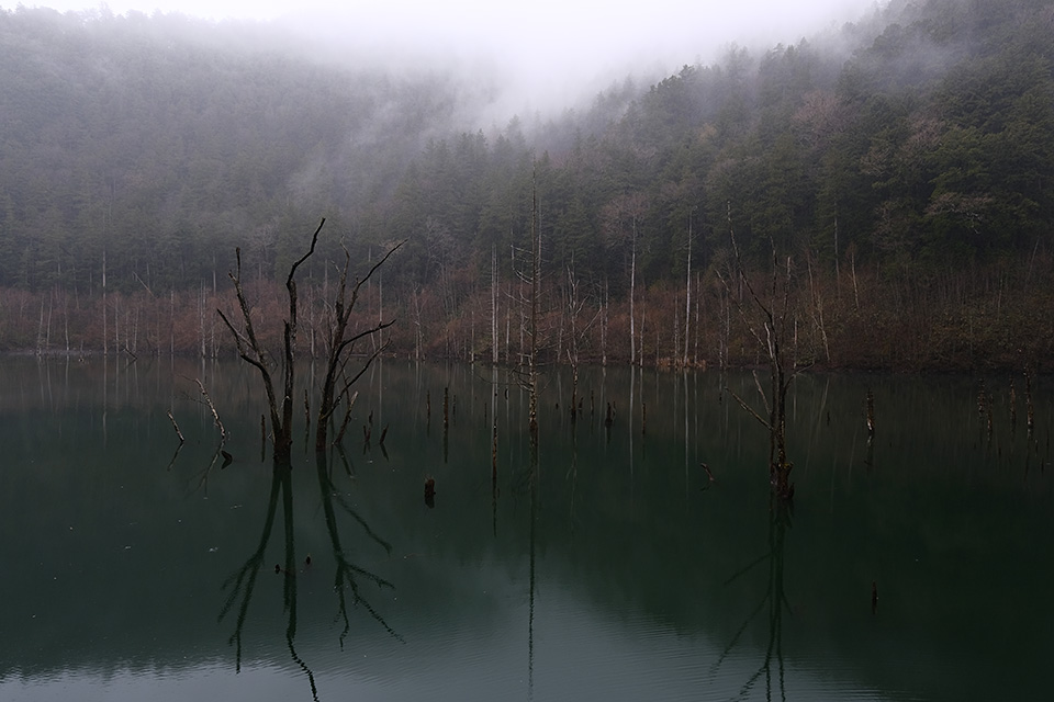 富士フイルム 東京カメラ部10選 長尾岬生氏、コンテスト入賞者 高橋直哉氏、司会 鈴木文彦「Xシリーズでみる世界」｜東京カメラ部2019写真展