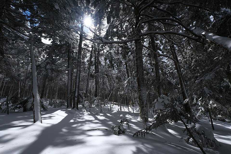 富士フイルム 東京カメラ部10選 長尾岬生氏、コンテスト入賞者 高橋直哉氏、司会 鈴木文彦「Xシリーズでみる世界」｜東京カメラ部2019写真展